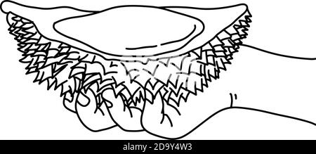 Hand halten Stück Durian Vektor Illustration Skizze Doodle Hand Gezeichnet mit schwarzen Linien isoliert auf weißem Hintergrund Stock Vektor