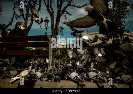 Barcelona, Spanien. November 2020. Ein Mann füttert an einem sonnigen Sonntagmorgen Tauben auf dem Katalonienplatz in Barcelona.Quelle: Matthias Oesterle/Alamy Live News Stockfoto