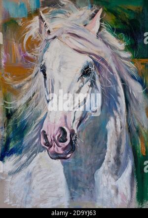 Pferd Kopf Porträt original Kunstwerk Öl auf Leinwand Gemälde Stockfoto