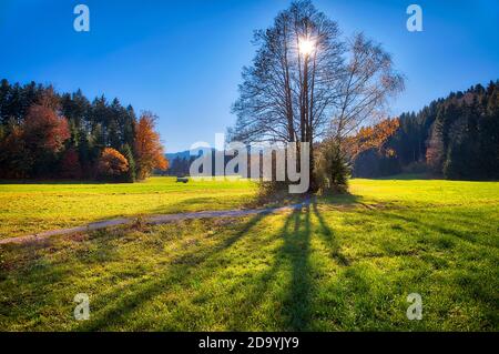 DE - BAVARIA: Herbstszene am Wackersberg bei Bad Tölz Stockfoto