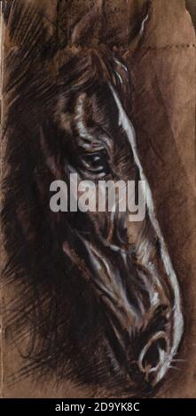 Pferdekopf Portrait Zeichnung Kohle auf braunem Papier Stockfoto