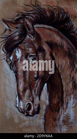 Pferdekopf Portrait Zeichnung Kohle auf braunem Papier Stockfoto