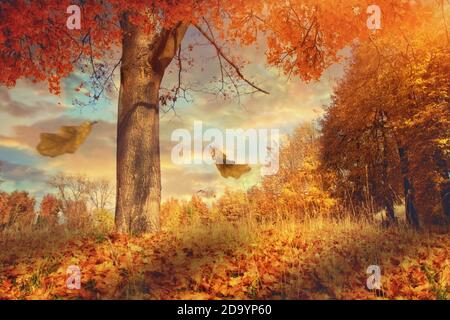 Farbenfrohe Herbstszene mit Bäumen und fallenden Blättern Stockfoto