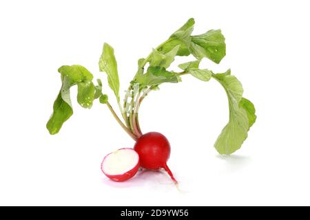 Nahaufnahme eines roten Rettichs mit den auf Weiß isolierten Blättern Hintergrund Stockfoto