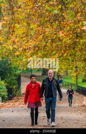 London, Großbritannien. November 2020. Trotz der neuen Einschränkungen gibt es viele Menschen draußen und draußen. Herbstwetter und Farben im Green Park am ersten Wochenende der zweiten Coronavirus Lockdown genießen. Kredit: Guy Bell/Alamy Live Nachrichten Stockfoto