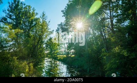 Deutschland, Allgäu, Sonnenstrahlen, die durch grüne Bäume leuchten, spiegeln sich im stillen Wasser eines kleinen Flusses in unberührter Naturlandschaft Stockfoto