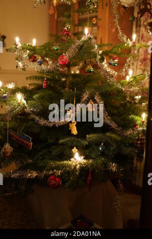 Weihnachtsbaum mit brennenden Kerzen, Kranz, Lametta Bunte Kugeln innen am Abend. Klassische grüne, rote Weihnachtsfarben, Nahaufnahme. Stockfoto