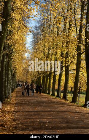 Menschen, die unter einem von Bäumen gesäumten Pfad in vollen Herbstfarben wandern Über Jesus Green Cambridge England Stockfoto