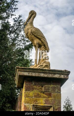 Nahaufnahme eines aus Stein geschnitzten Vogels Pelican befindet sich in Der Sommerhaus Rasen Teil der Bridge End Gardens Saffron Walden Essex England Stockfoto