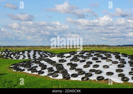 Großer Stapel Silage auf dem Feld mit Kunststofffolie bedeckt Und gebrauchten Reifen Stockfoto