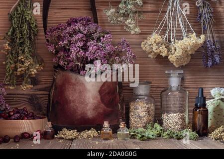 Flaschen mit ätherischem Öl und getrockneten Kräutern - Oregano, Schafgarbe, Lavendel und andere Stockfoto