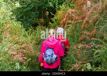 Rückansicht von unkenntlich weiblichen älteren Wanderern mit Rucksack während Reisen zusammen in der Nähe von Grünpflanzen in Asturien Stockfoto