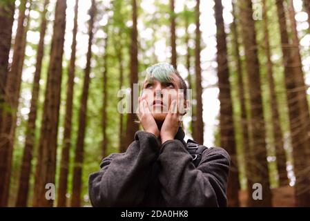 Niedriger Winkel der stilvollen weiblichen Reisenden stehen in Monte Cabezon Naturdenkmal von Sequoias und bewundern herrliche große Bäume während Urlaub Stockfoto