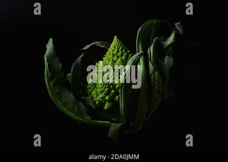 Romanesco Brokkoli Kohl auf schwarzem Hintergrund Stockfoto