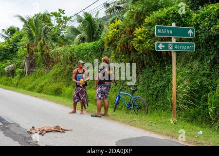 Porträt einer lokalen Bevölkerung in Huahine, Gesellschaftsinseln, Französisch-Polynesien, Südpazifik. Hund verletzt und verlassen auf der Straße. Stockfoto