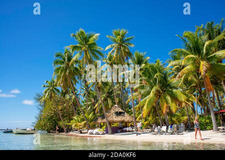 Tropisches Paradies Seeseite Taha'a Insellandschaft, Französisch Polynesien. Motu Mahana Palmen am Strand, Taha'a, Gesellschaftsinseln, Französisch-Polynesien, Stockfoto