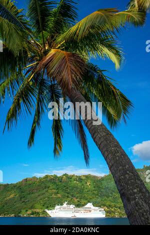 Paul Gauguin cruise in Moorea, Gesellschaftsinseln, Französisch-Polynesien Südsee verankert. Stockfoto