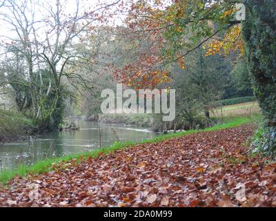 Herbstlicher Blick auf den Fluss Cherwell, goldene Bäume und knackige Blätter unter den Füßen auf dem Oxfordshire Anwesen von Rousham House; November 2020. Stockfoto