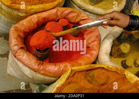 Kathmandu, Nepal. Hand mit Glasarmbändern, die einen metallischen Löffel mit rotem Curry darin halten, an den Seitenbeuteln mit verschiedenen gelben Currys. Stockfoto
