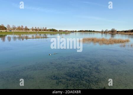 Riemer See, BUGA-See, Schwimmen See, Riemer Park, Riem, München, Bayern ...