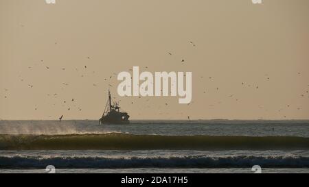 Blick auf Fischerboot an der Küste des Atlantischen Ozeans in der Nähe von Essaouira, Marokko, Afrika von einer großen Gruppe von Möwenvögeln in der dunstigen Luft gejagt. Stockfoto