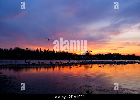 Spätherbst spektakulärer Sonnenuntergang (sich ausbreitend wie ein blauer Fleck :) über Dow's Lake, Ottawa, Ontario, Kanada Stockfoto