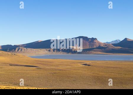 Morejon bolivianischen Landschaft, Blick auf die Lagune, Bolivien. Anden Plateau Stockfoto