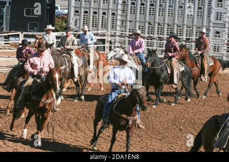 Rodeo-Veranstaltung bei der Arizona National Livestock Show, Phoenix, Arizona Stockfoto