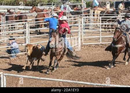 Rodeo-Veranstaltung bei der Arizona National Livestock Show, Phoenix, Arizona Stockfoto