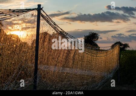 Trocknen der Fischernetze an den dänischen Küsten im Sonnenuntergang Stockfoto