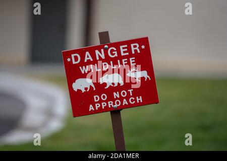 Gefahr Wildtiere nähern sich nicht Sign in Yellowstone Stockfoto