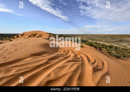 Reifenspuren auf der Big Red Sand Dune, einer berühmten Touristenattraktion in der Nähe von Birdsville, Queensland, QLD, Australien Stockfoto