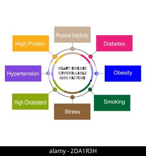 Diagramm von Herzerkrankungen kontrollierbare Risikofaktoren mit Schlüsselwörtern. EPS 10 - isoliert auf weißem Hintergrund Stock Vektor