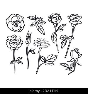 Set Rose Blume Linie Zeichnung. Vector Floral Kollektion in einem trendigen minimalistischen Stil Stock Vektor