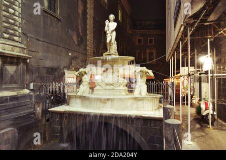 CATANIA, ITALIEN - 19. DEZEMBER 2019: barocker monumentaler Amenano-Brunnen in der Altstadt von Catania bei Nacht, Sizilien Stockfoto