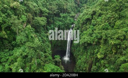 Luftdrohne Ansicht von großen versteckten Wasserfall im Dschungel Regenwald. Wilde unberührte Natur, grüner Hintergrund. Bali, Indonesien Stockfoto