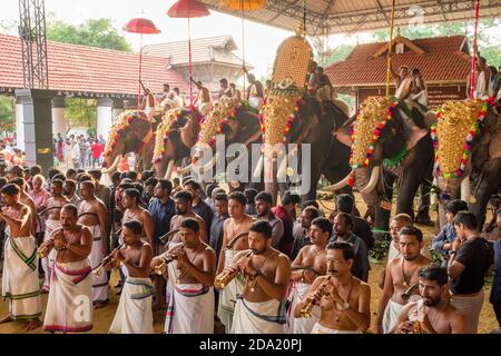 Dekorierte Elefanten auf dem Tempelfest in Siva Tempel, Ernakulam, Kerala, Indien Stockfoto