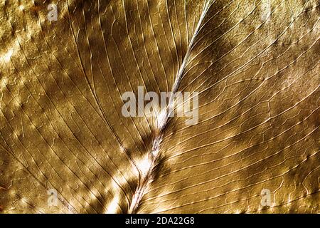 Die Textur des Monstera-Blattes in Goldfarbe gemalt. Goldfarbenes Muster. Abstrakter Hintergrund. Stockfoto