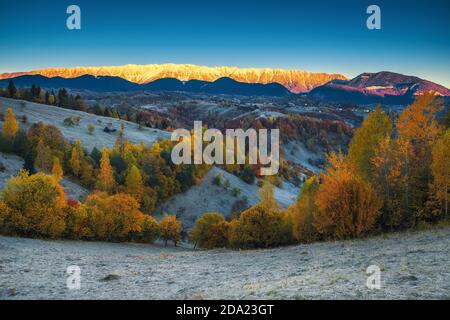 Schöne Herbstdämmerung Landschaft mit tauem Gras und bunten Laubbäumen. Majestätischer Sonnenaufgang und schneebedeckte Berge im Hintergrund, Bran, Transsilvanien, Ro Stockfoto
