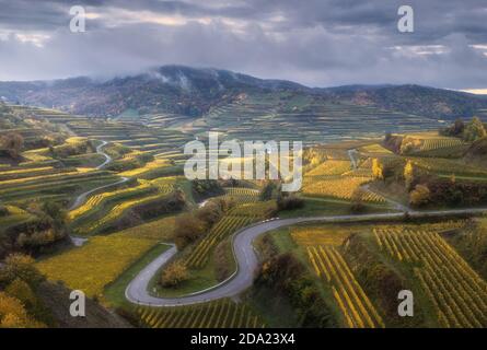 Weinberge in Kaiserstuhl Stockfoto