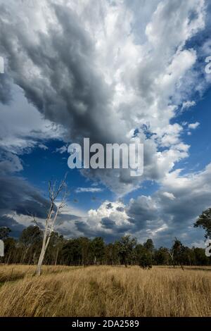 Vertikale Ansicht von beeindruckenden niedrigen weißen Wolken in stürmischen Himmel durch La Niña Wetterphänomen, Toogoolawah, Queensland, QLD, Australien gebracht Stockfoto