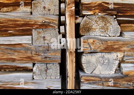 Schwalbenschwanzkerbe in einer verlassenen Blockhütte in der Geisterstadt Bannack, Montana, USA. Stockfoto