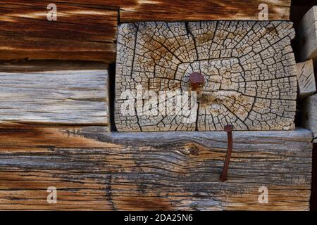 Schwalbenschwanzkerbe in einer verlassenen Blockhütte in der Geisterstadt Bannack, Montana, USA. Stockfoto