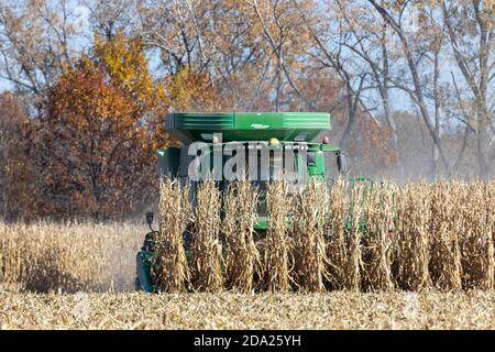 Maisernte auf der Route 61 in der Nähe von Wapello, Iowa Stockfoto