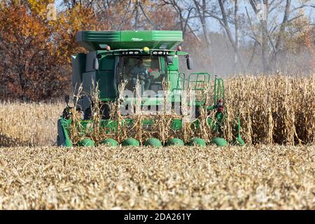 Maisernte auf der Route 61 in der Nähe von Wapello, Iowa Stockfoto