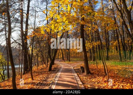 Schöne Gasse mit bunten Herbstbäumen Stockfoto