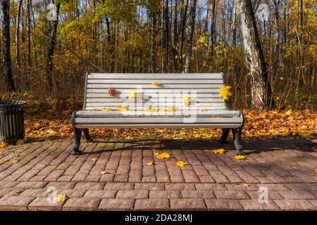 Holzbank im Herbst park Stockfoto