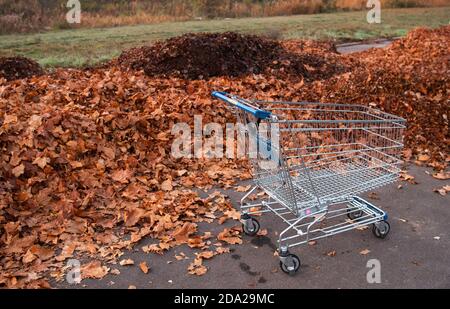 Hannover, Deutschland. November 2020. Ein verlassener Einkaufswagen steht vor einem großen Laubhaufen. Kredit: Julian Stratenschulte/dpa/Alamy Live Nachrichten Stockfoto