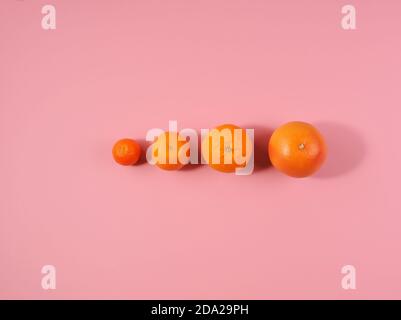 Kreatives Layout aus sommerlichen Früchten, Zitrusfrüchten und Grapefruit. Flach liegend. Food-Konzept. Horizontal mit Kopierbereich. Stockfoto