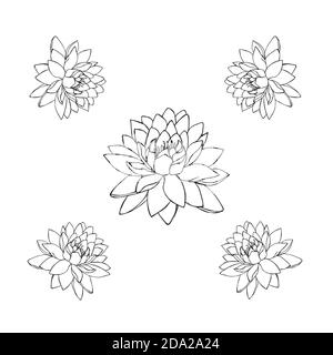 Silhouetten von Lotusblumen. Set von fünf Vektor-Illustrationen. tattoo Illustration Stock Vektor